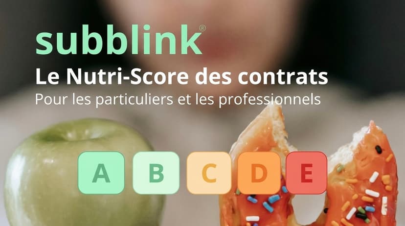 subblink : AI-powered contract analysis