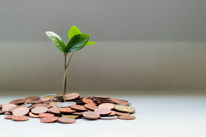 Asset management, funds & family offices